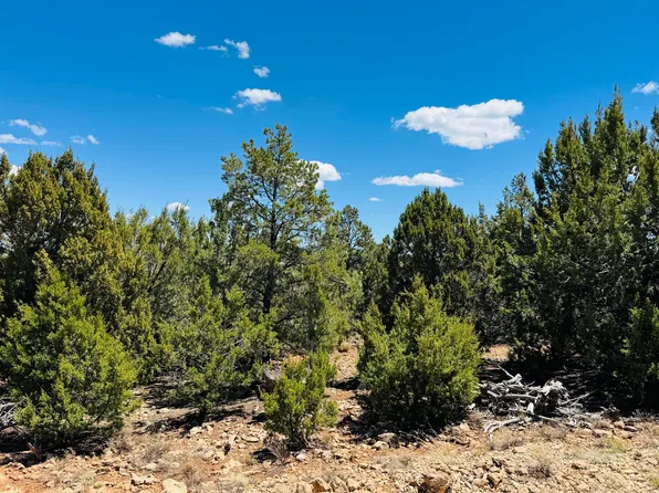 3585 Meadow Wood Dr, Happy Jack, AZ 86024