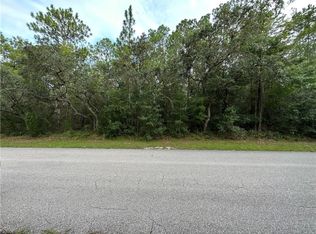 1216 W Tacoma St, Hernando, FL 34442