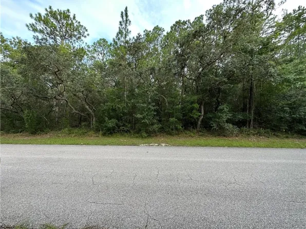 1216 W Tacoma St, Hernando, FL 34442