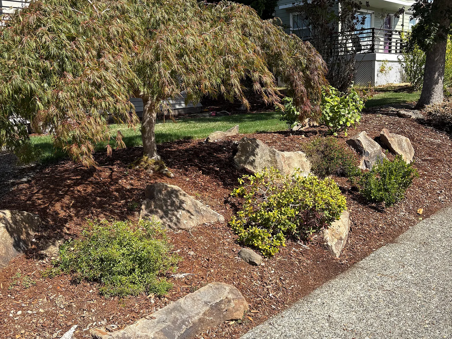2 bed, 850 sqft, $3,000 — Photo 4
