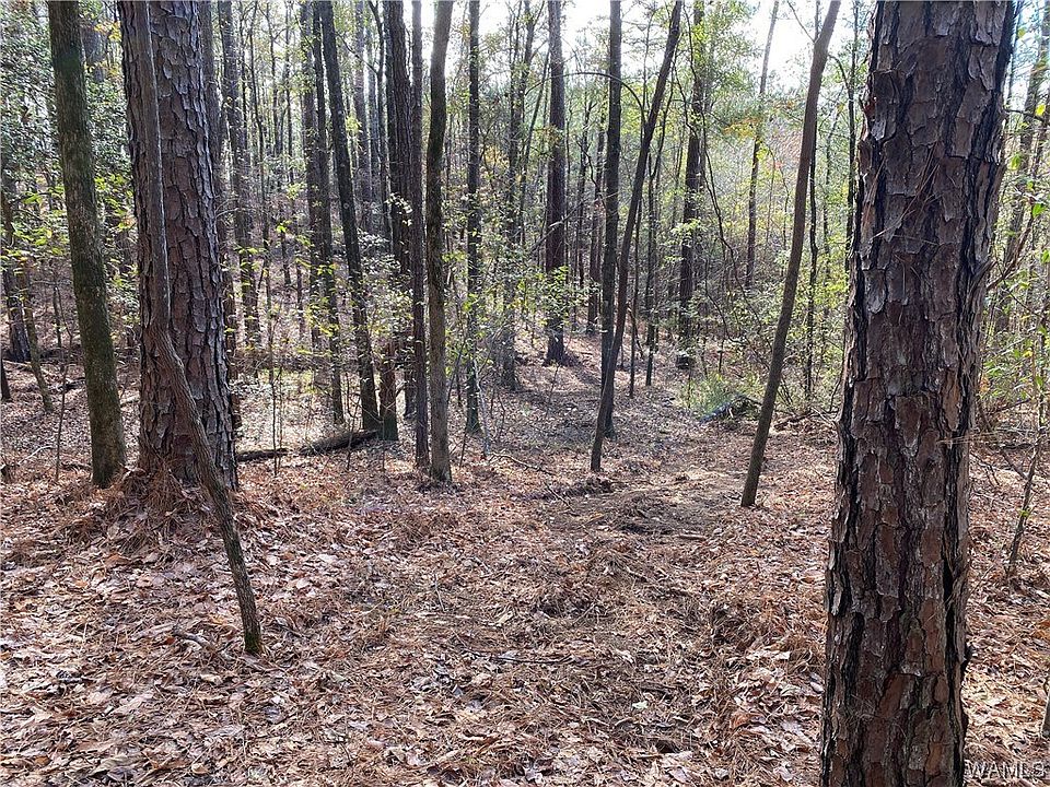 9300 Tom Taylor Rd, Northport, AL 35473 Zillow