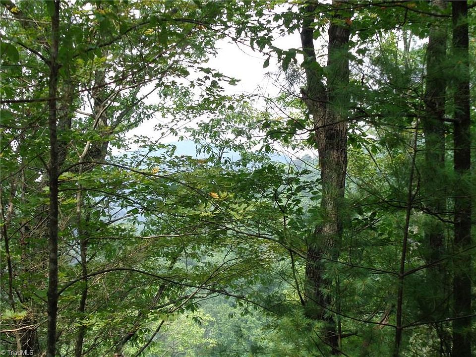 1st image of LOT 10 Grindstone Ln  Ridge
