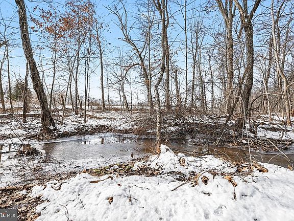 5th image of 298 Tapeworm Rd