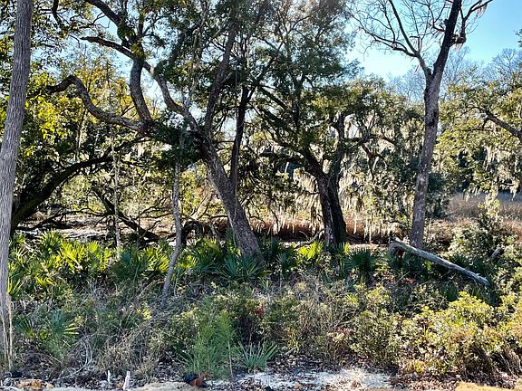 Breathtaking marsh views in your backyard