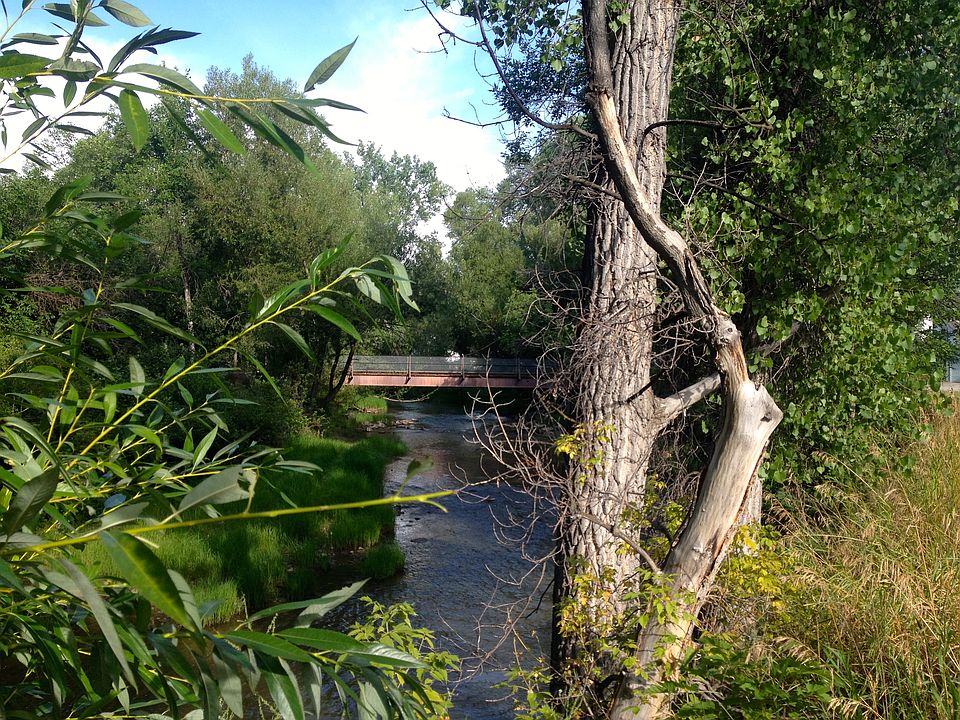 Elk Street walking bridge.