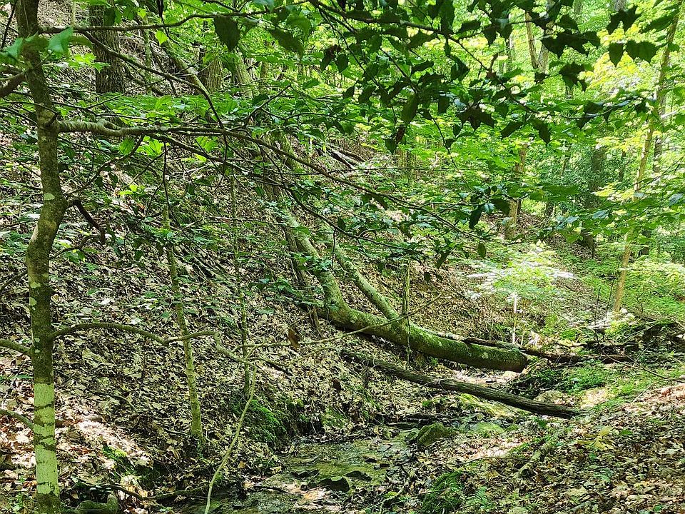 2nd image of Beaver Lake Dr Lot 9