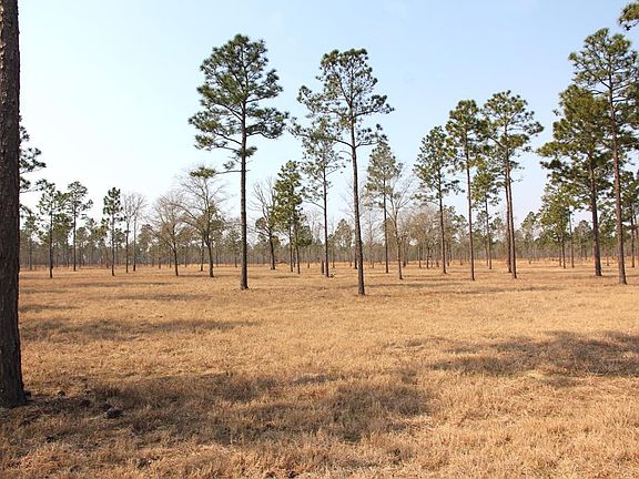 5th image of Lot 3 P2 Parque Lane