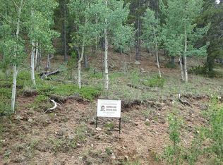 406 Smith Rd, Bailey, CO 80421