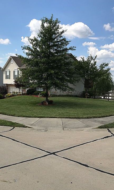2nd image of 10313 Manassas Ct
