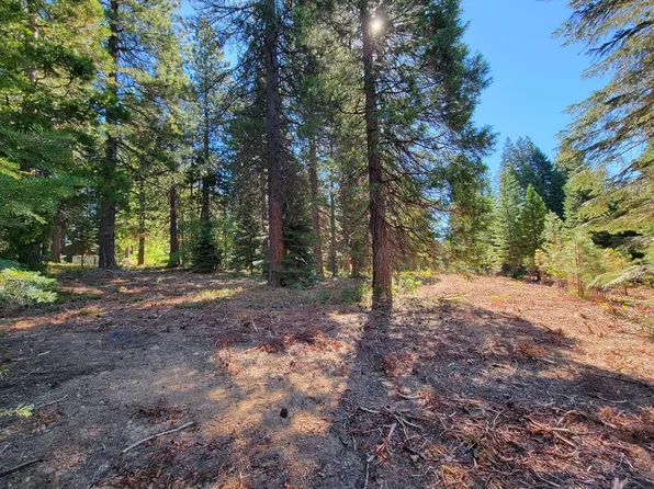 LOT 3 Andrew Ct, Mount Shasta, CA 96067