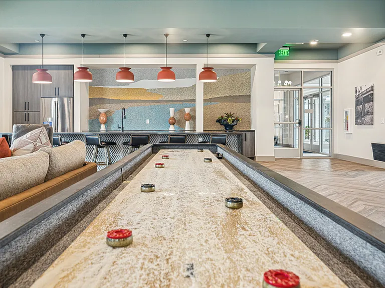 Shuffleboard