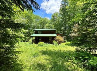 2358 Scott Rd, Bloomville, NY 13739
