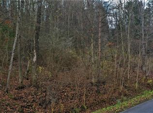 0 Cross Rd #20, Little Valley, NY 14755