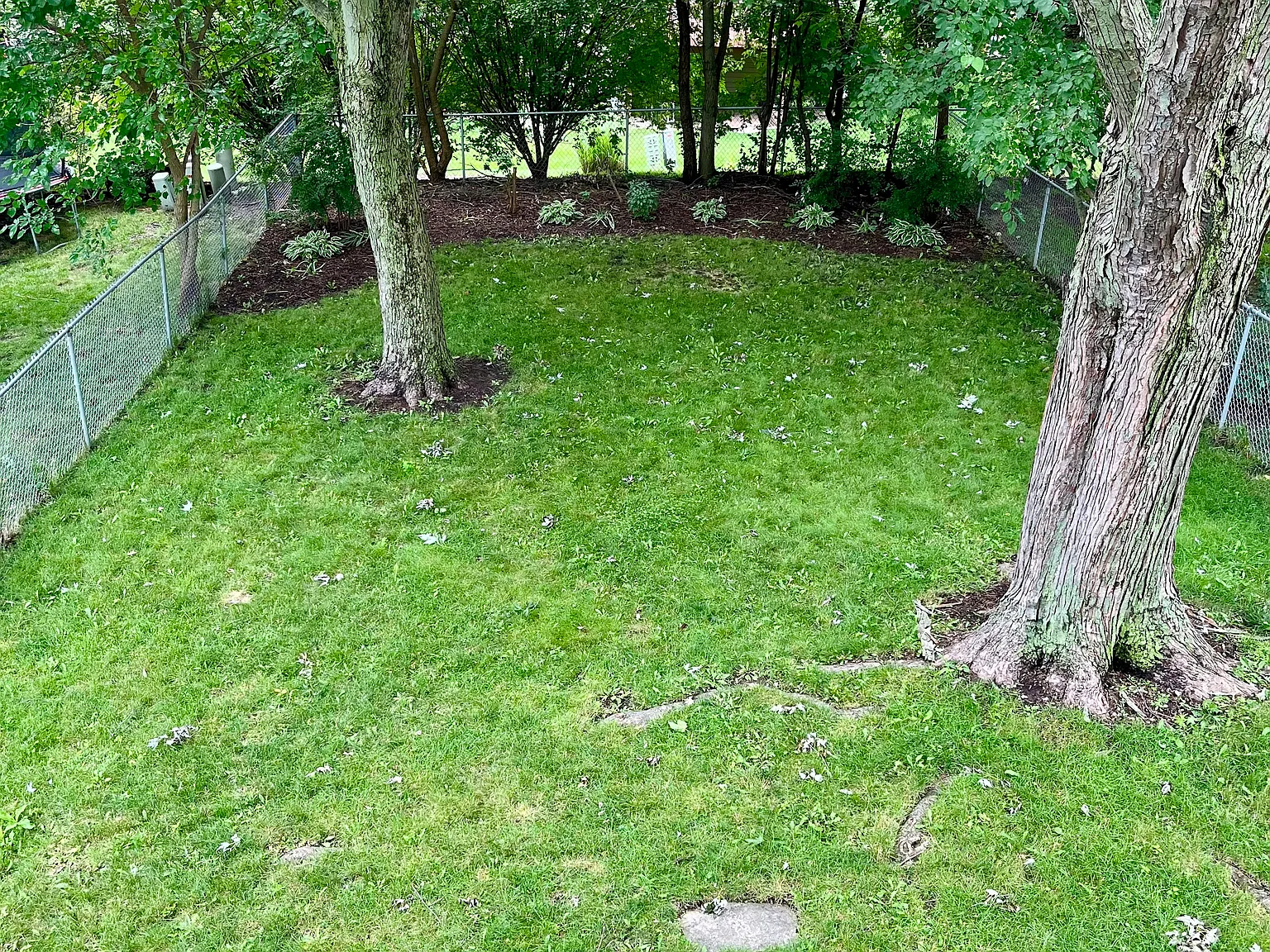 3 bed, 2001 sqft, $2,650 — Photo 3