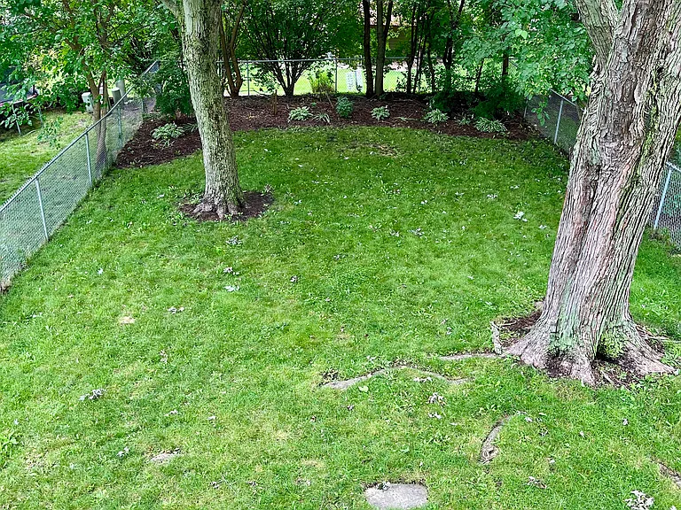 Fenced Backyard