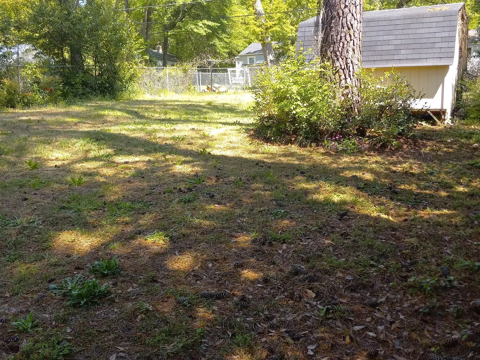 2 bed, 727 sqft, $1,500 — Photo 2