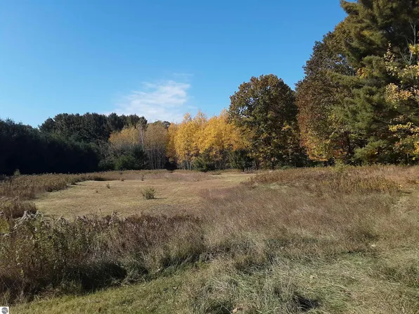 N Everett Rd, Harrisville, MI 48740