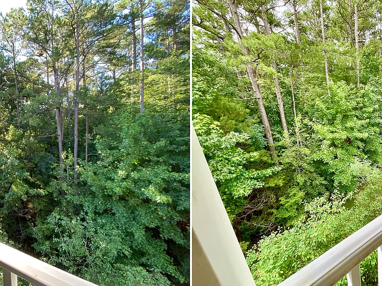 833 Providence Glen Dr — Photo 22