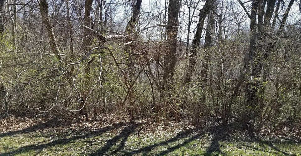 2nd image of 9638 Ridge Heights Rd