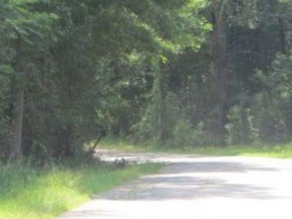 Exterior Neighborhood (street photo)