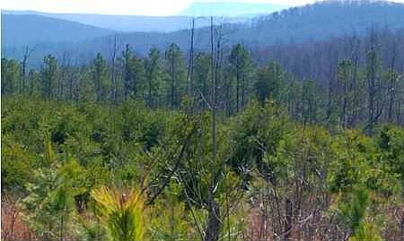 2nd image of 5 Highway 127