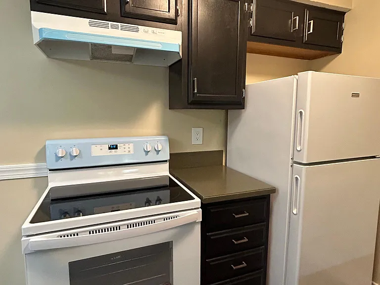 4708 Dorsey Hall Dr #301 — Photo 15