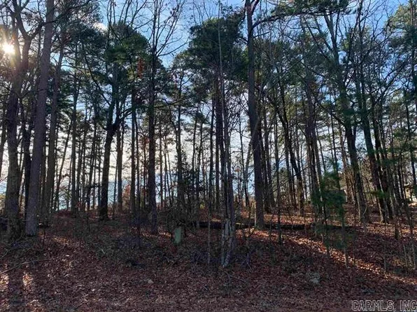 (undisclosed Address), Hot Springs, AR 71909