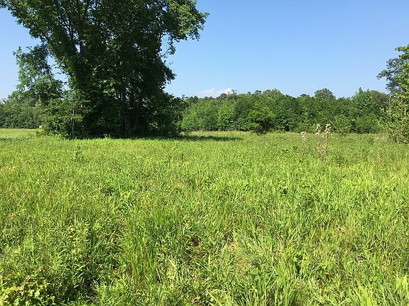 4th image of 973 County Road 4778