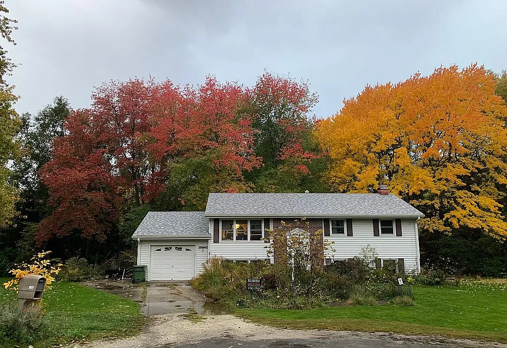 1003 Maple Tree Ln photo 1