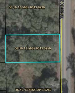  SE 920th St, Old Town, FL, 32680