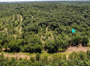 3 County Road 126, Waterloo, AL 35677