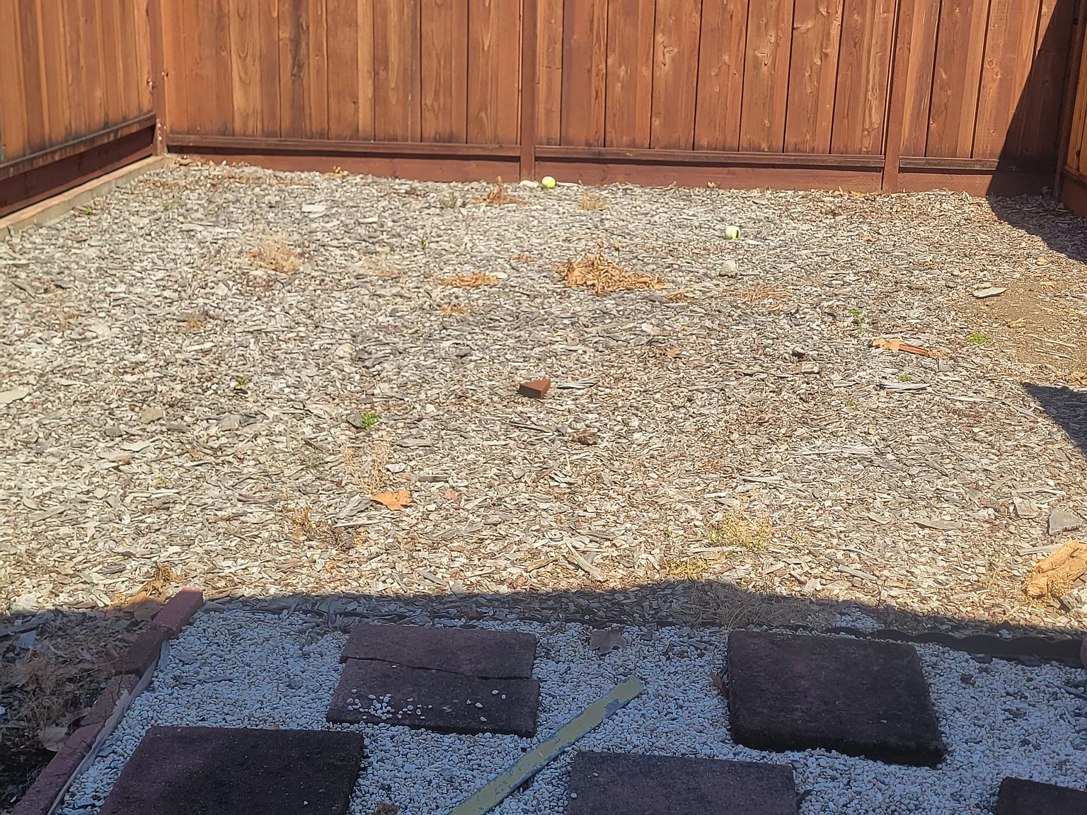 1 bed, 389 sqft, $2,200 — Photo 3