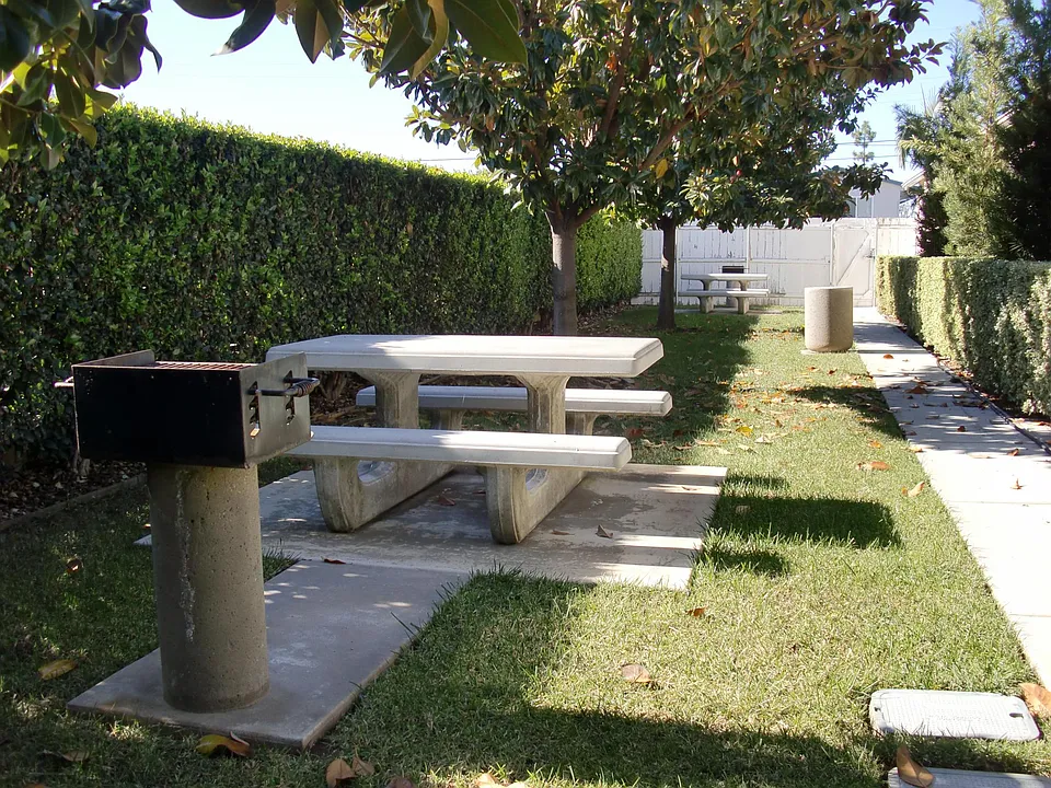 Picnic Area