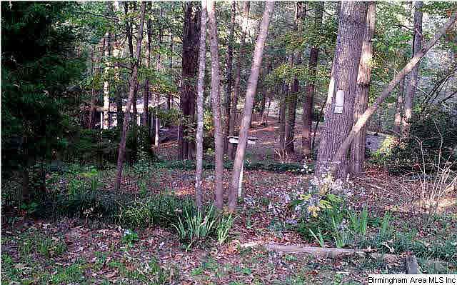 2nd image of 9086 Manley Vines Camp Rd