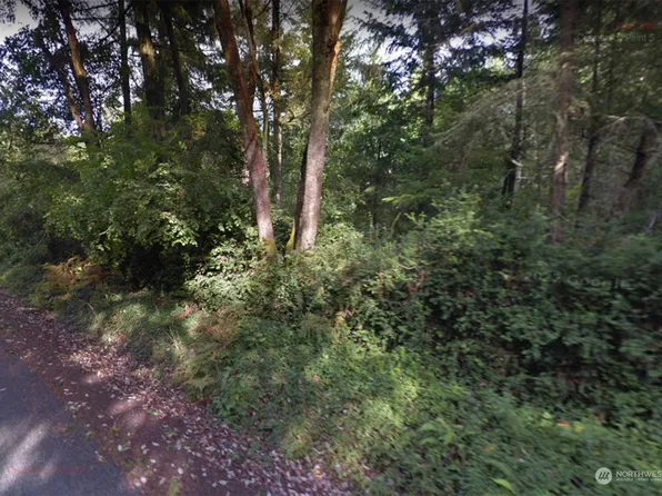 0 xx Whiteman Road S, Longbranch, WA 98351