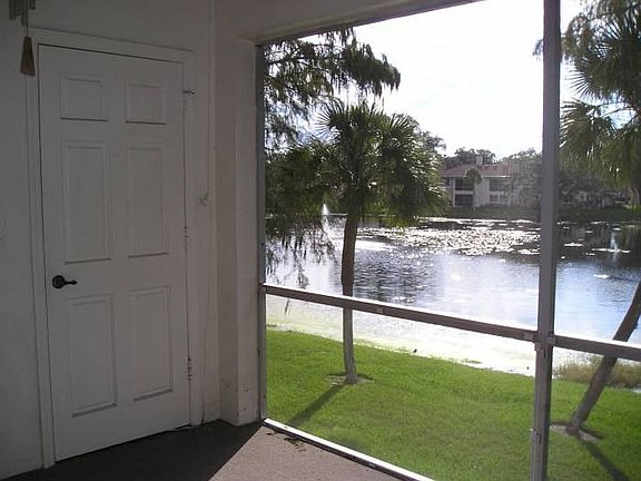 View from Screened Porch