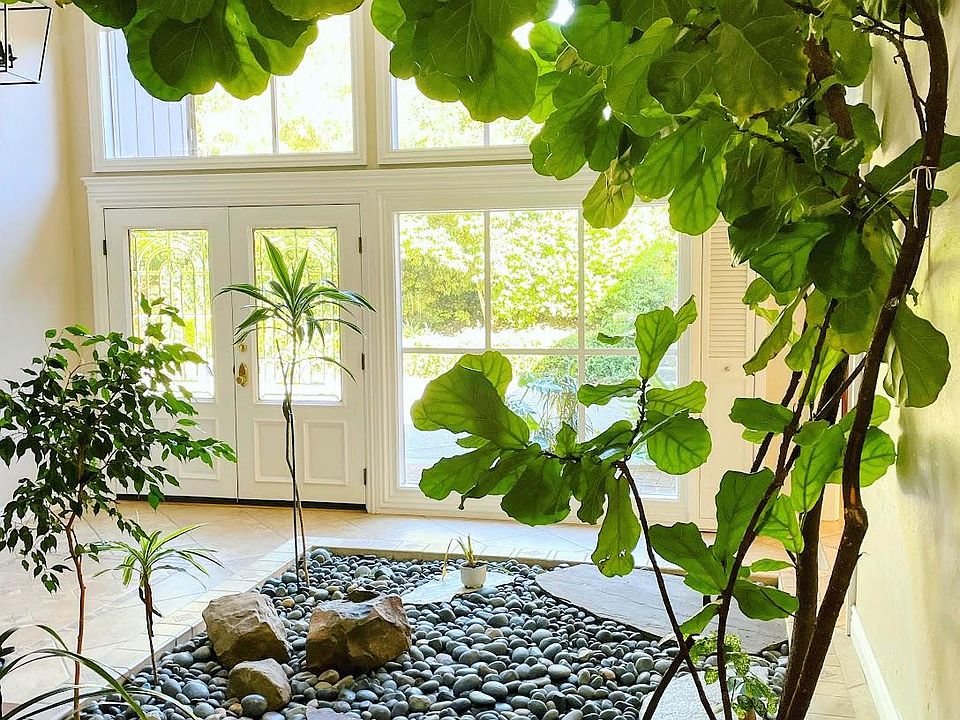 Light filled two story atrium with impressive 40+ year old fiddle leaf fig tree.