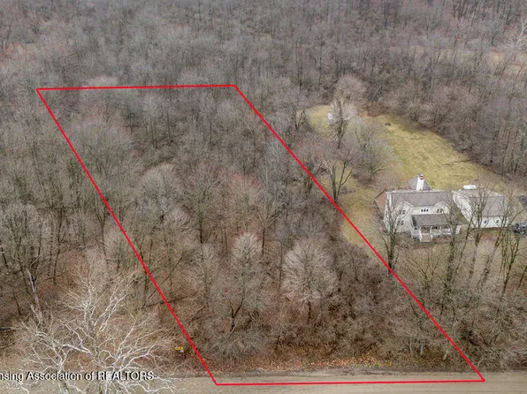 PARCEL Bailey Rd #B, Dimondale, MI 48821