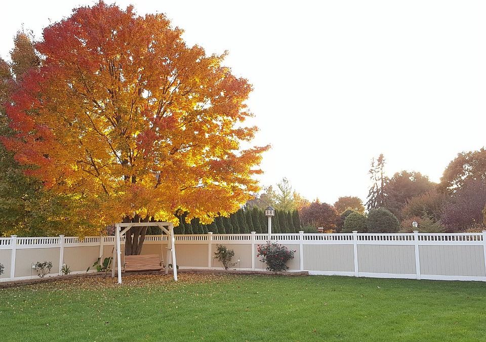Two-tone vinyl fence 