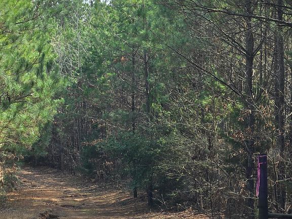 3rd image of County Road 272 N