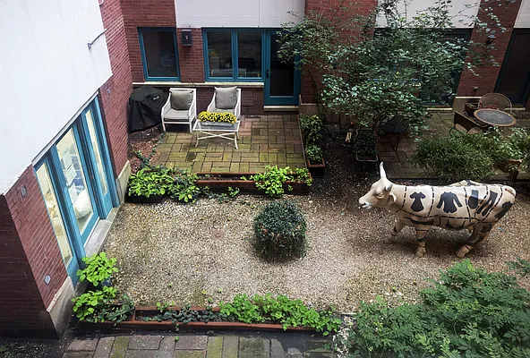 Rented by Compass | media 31