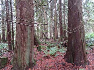 Cousins Rd, Adna, WA 98522