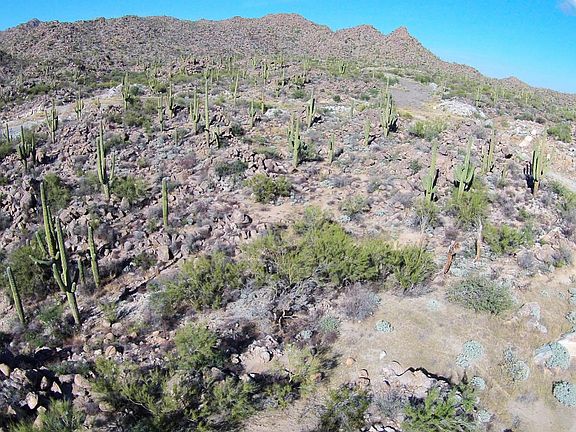 5th image of 1313 W Tortolita Mountain Cir
