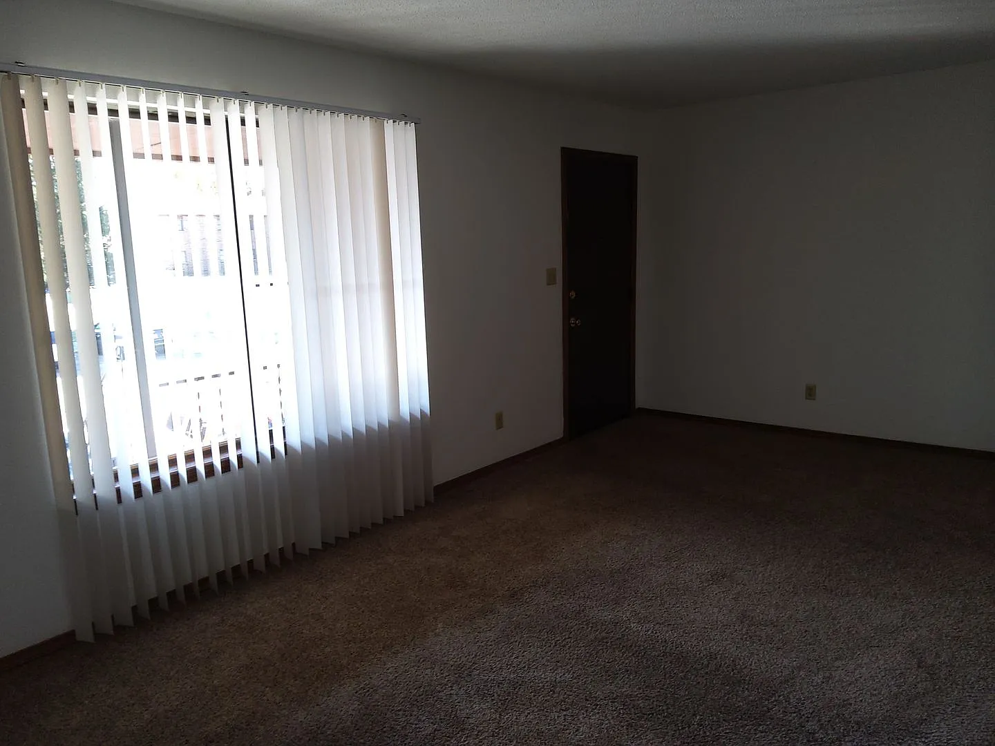 Boxwood 535 — Photo 3