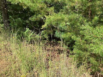5th image of 9 Yellow Maple Ln