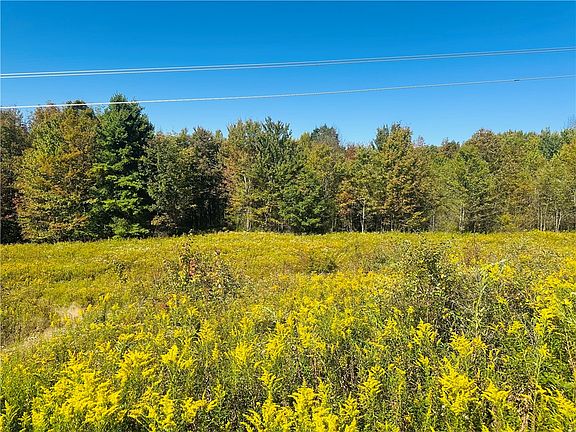 4th image of Gallop Hill Rd Lot 7
