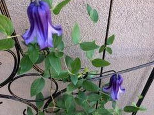 816 Avenida Los Suenos, Bernalillo, NM 87004