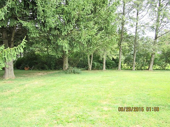 View of the back yard