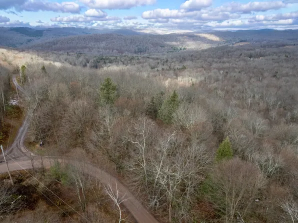 0 Hardwood Ln, Hancock, NY 13783