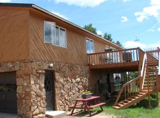 110 Ravenswood Ct, Bailey, CO 80421